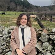 Estudiante de Ingeniería dispuesta a dar clases particulares a alumnos de primaria y secundaria a domicilio.